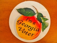 Too Much Voting Going On in GA, Says Republican Bibb County, GA Election Board Member