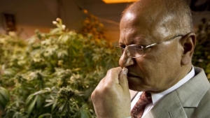 Dr. Mahmoud ElSohly has run the federal government’s Marijuana Research Project at the University of Mississippi since 1980.